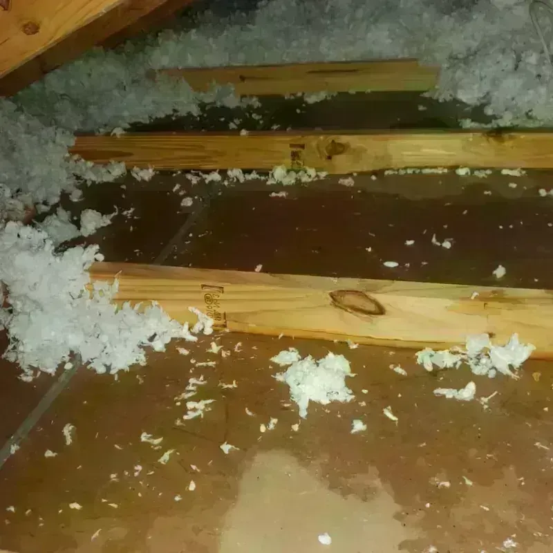 Attic Water Damage in Bonner Springs, KS