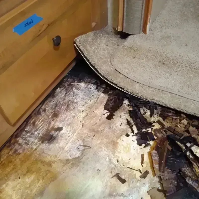 Best Wood Floor Water Damage Service in Bonner Springs, KS